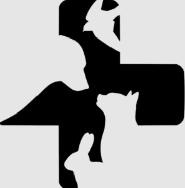 Innovo veterinary Near Me Group (IVG) 