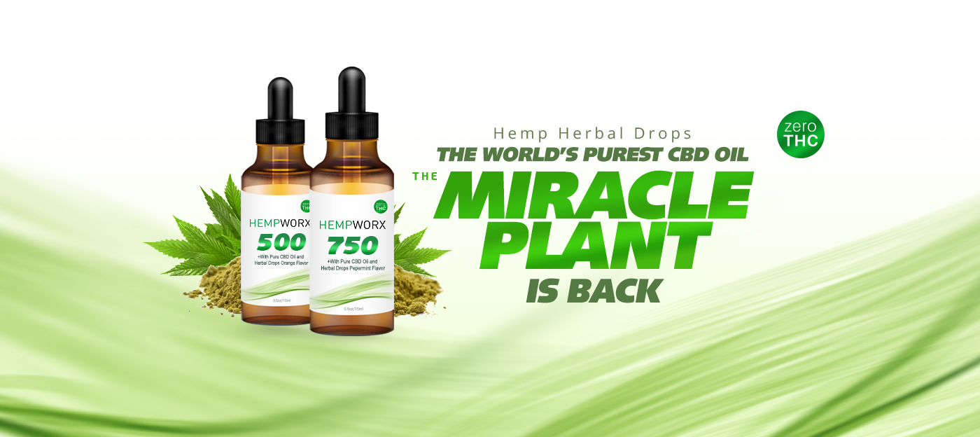 CBD RICH HEMP OIL