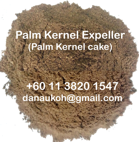 Animal Feed- Palm Kernel Cake