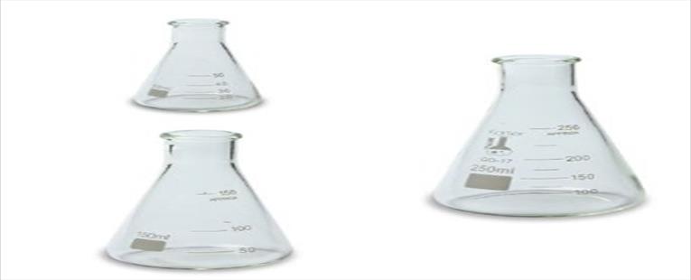 Glass Erlenmeyer Flask