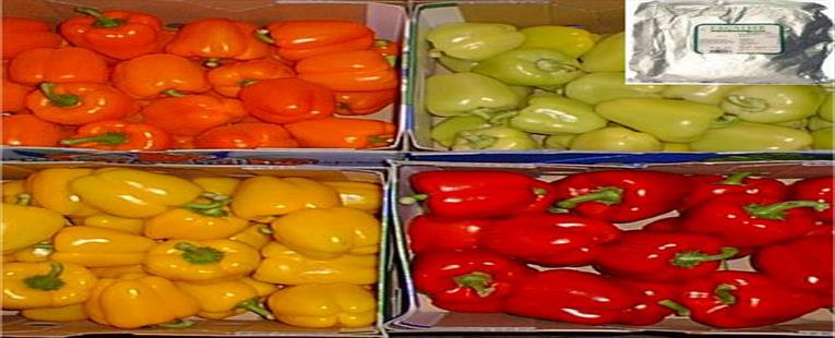 BELL PEPPER, RED DICED 3/8'' 1 LB: K