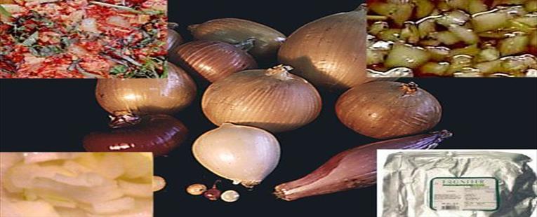 ONION POWDER (ALLIUM CEPA) 1 LB: K