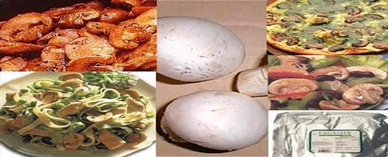 MUSHROOMS, BUTTON CHOPPED (AGARICUS BISPORUS) ½ LB: K