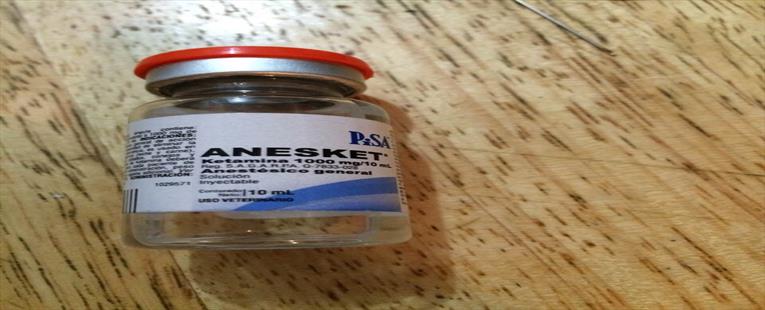 100% Pure Anesket 1000mg / 10ml for Sale