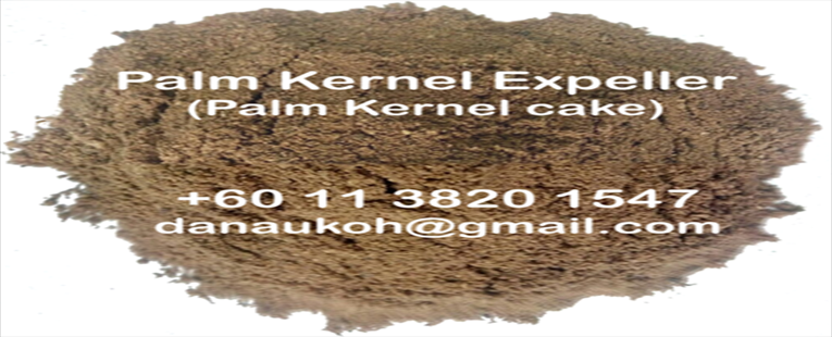 Animal Feed- Palm Kernel Cake