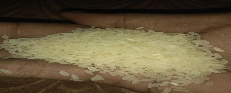 Indian Ponni rice 