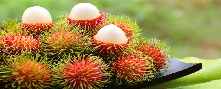 Rambutan