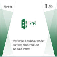 Microsoft Excel 2013 Value Bundle