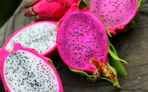 Dragon Fruit