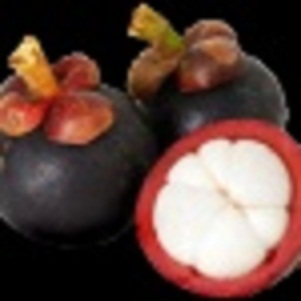Mangosteen