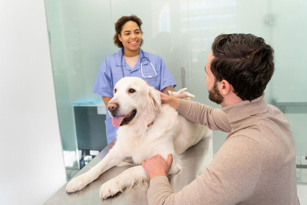 Innovo veterinary Near Me Group (IVG) 